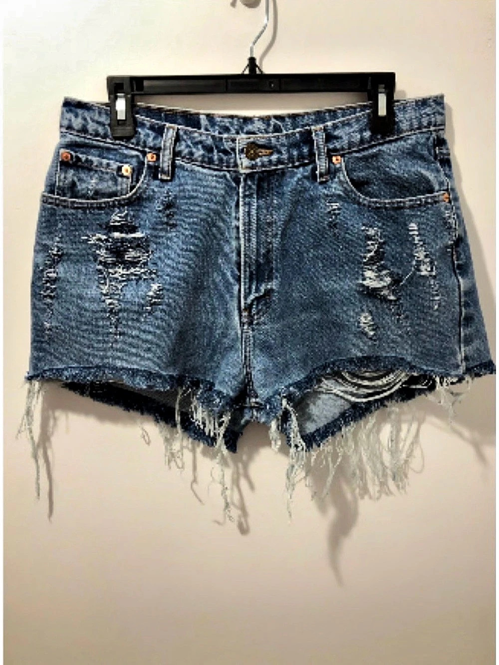 Jordache Distressed Denim Jean Shorts in Blue